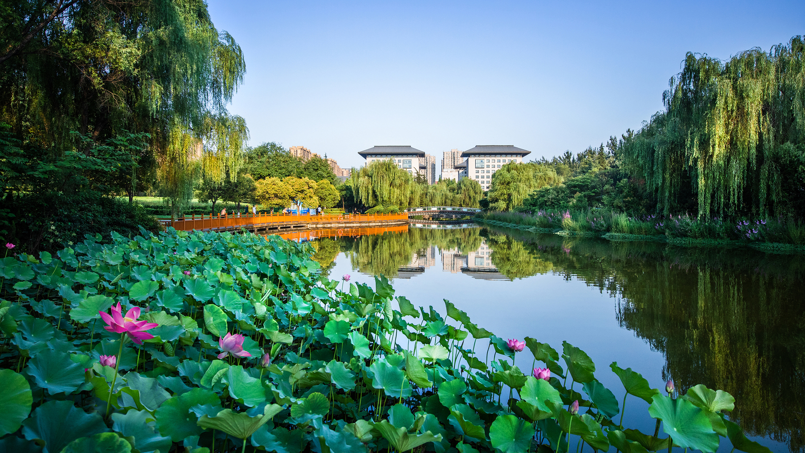 西安市体育公园景观丨中国西安丨中国西北建筑设计研究院-15