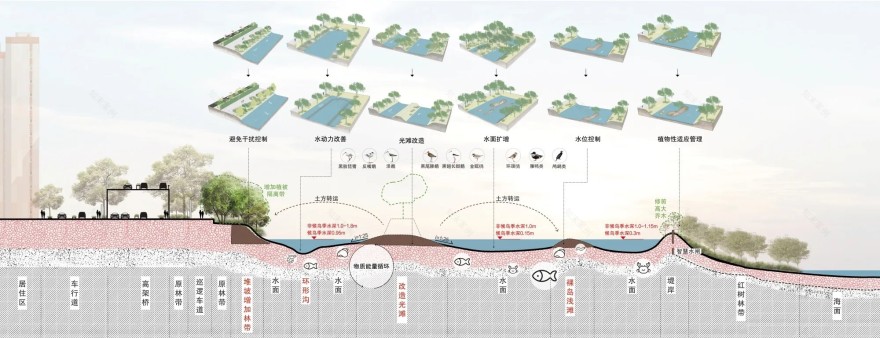 福田红树林国家级自然保护区避风塘,淡水塘,5 11号塘丨中国深圳丨北京一方天地环境景观规划设计咨询有限公司-38