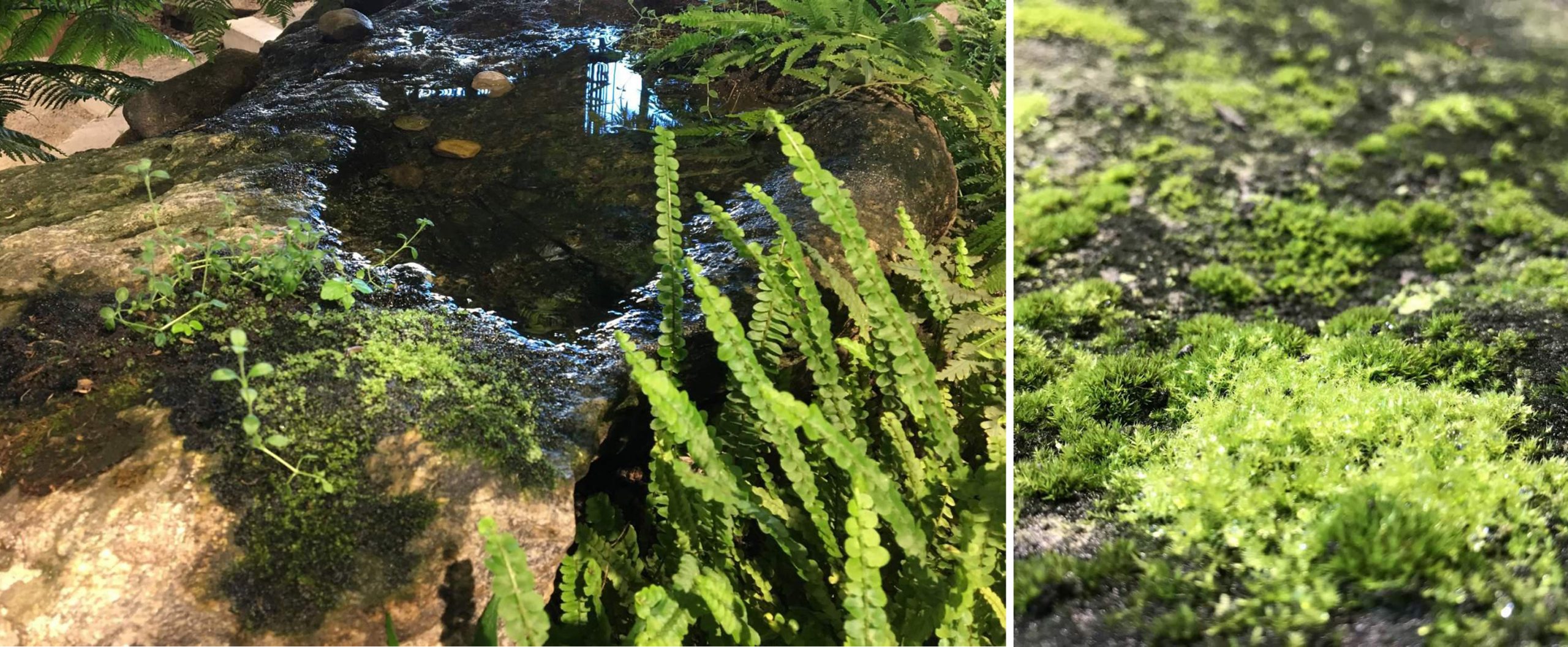 “最硬核”的办公空间改造，废弃海军造船厂中长出了一座封闭森林！-76