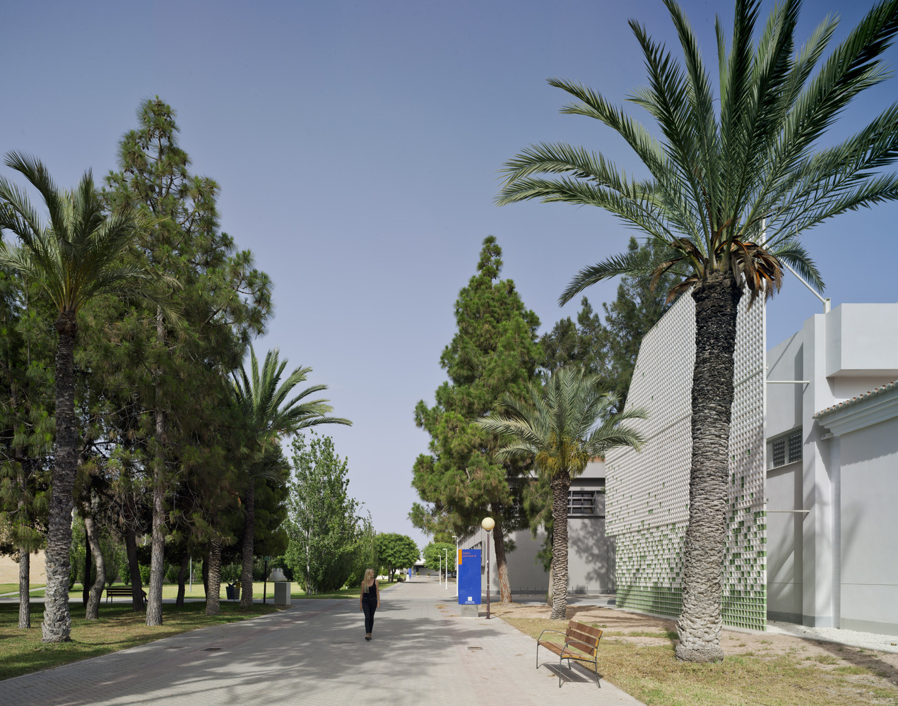 西班牙阿利坎特大学自然博物馆室内设计-21