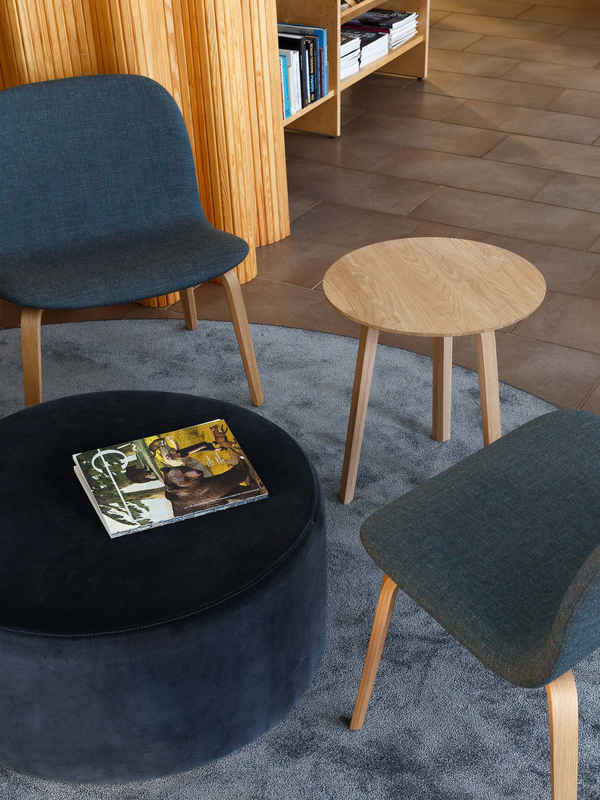 芬兰文化中心丨俄罗斯圣彼得堡丨Anna Koroleva-6