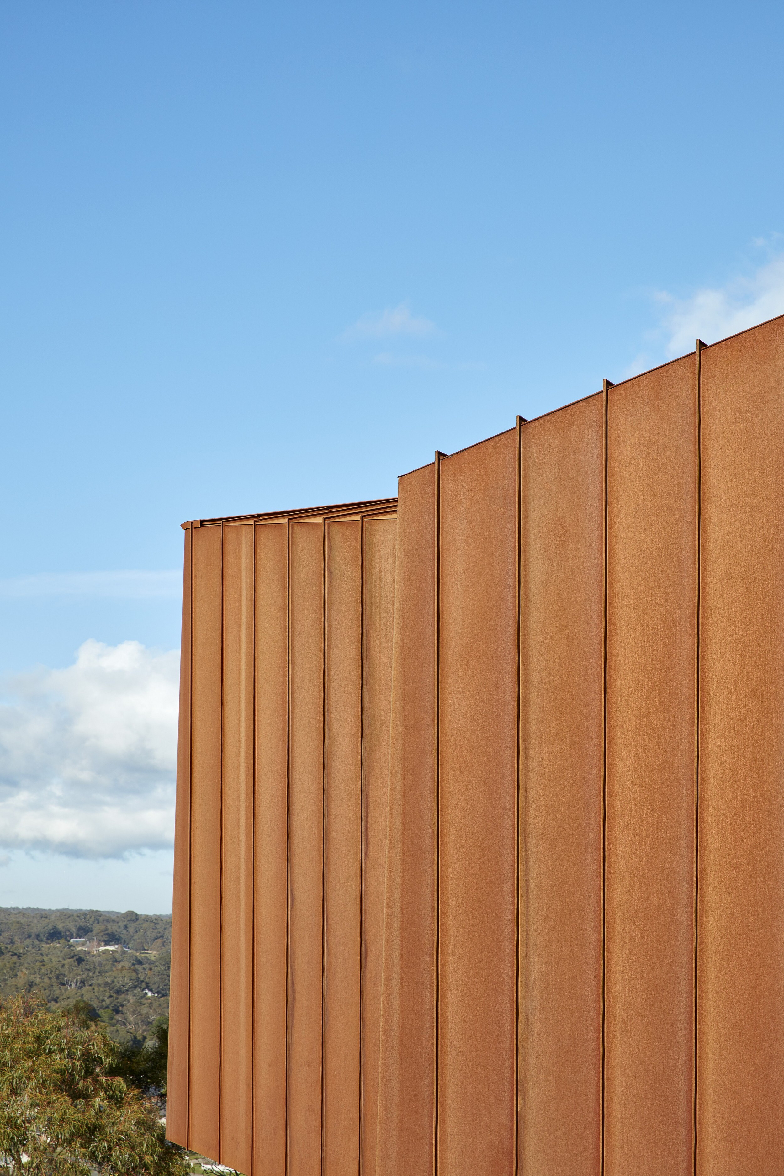 澳大利亚 Breakneck Gorge 度假屋 - 融入自然的折叠钢铁雕塑-22