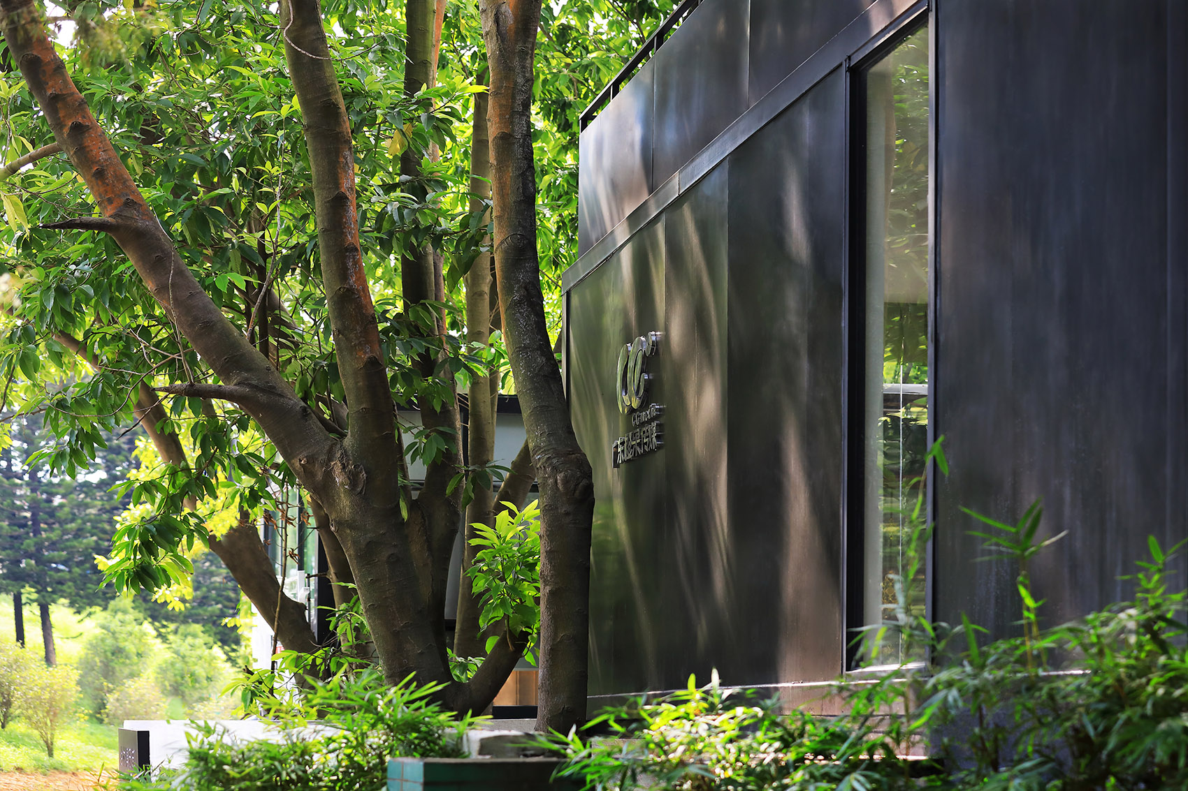 东莞橙果传媒办公室丨中国东莞-27