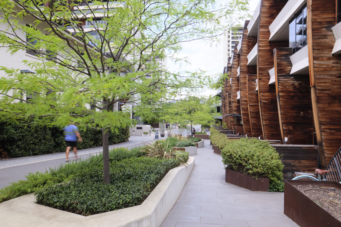 丨澳大利亚堪培拉-31