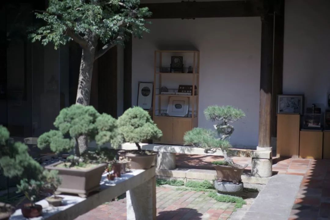 传统院落的清旷之美-6