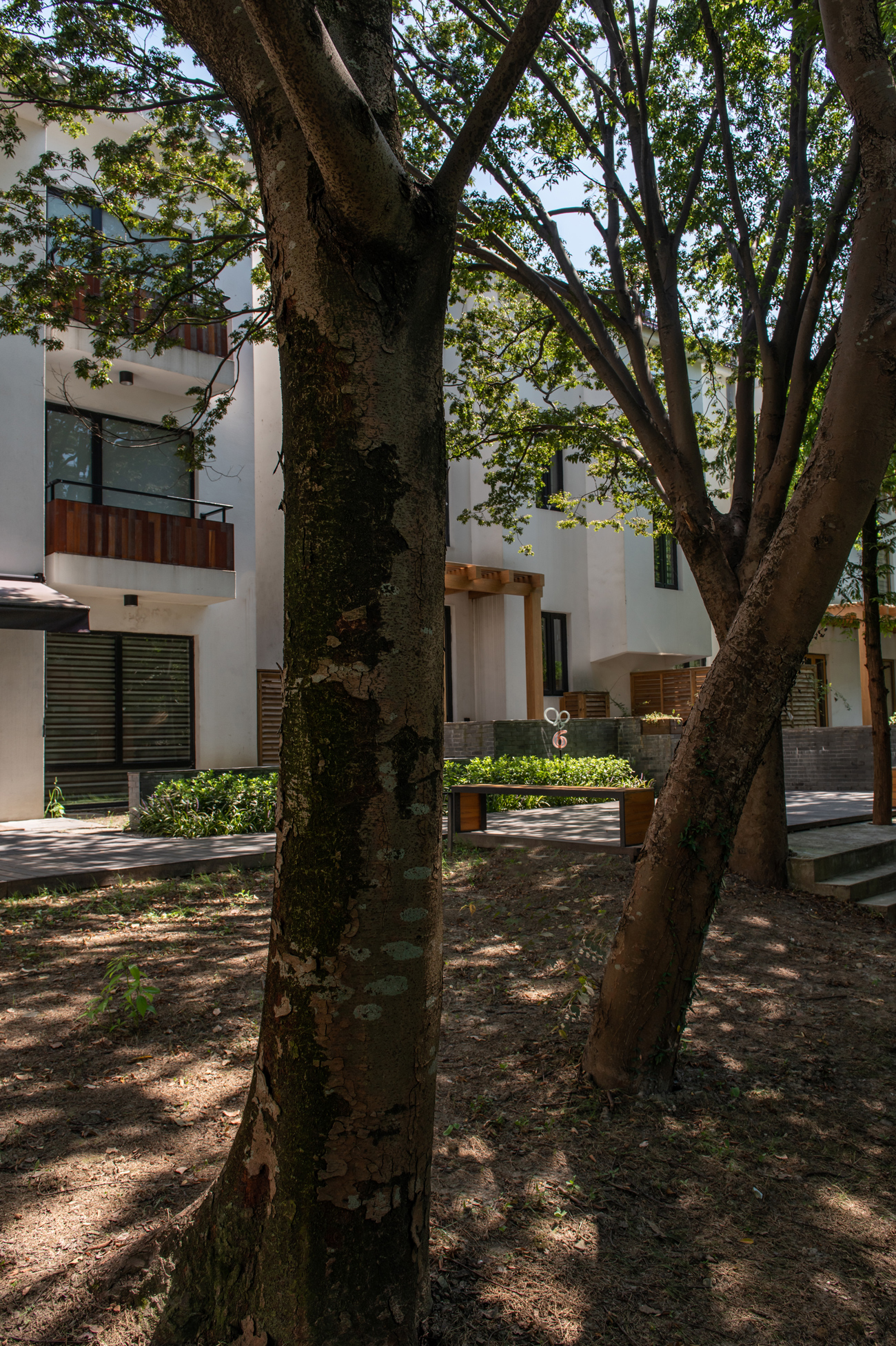 白相里·绿水人家-50