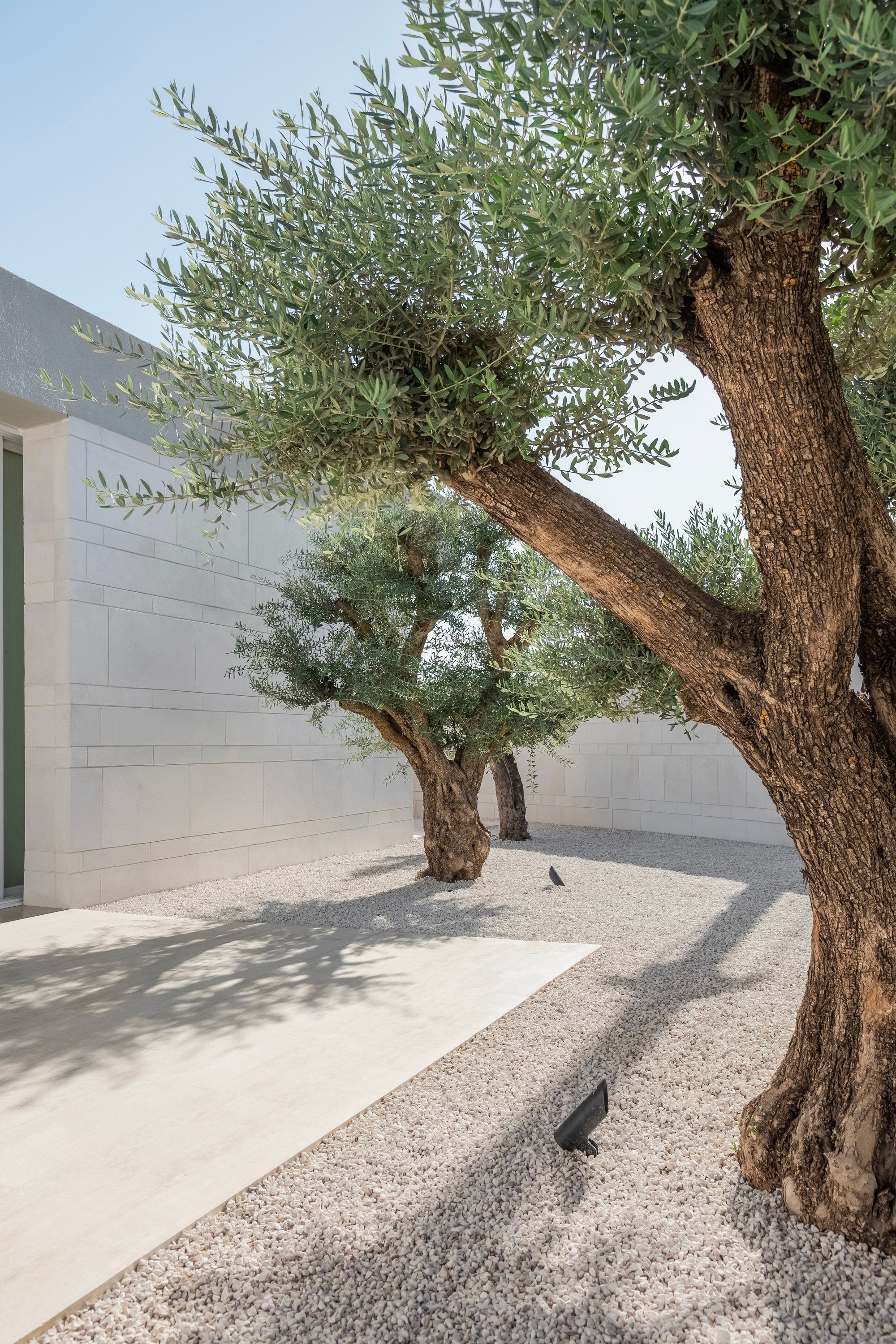 丨约旦安曼丨Abdel Qader Tarabieh Architecture-17