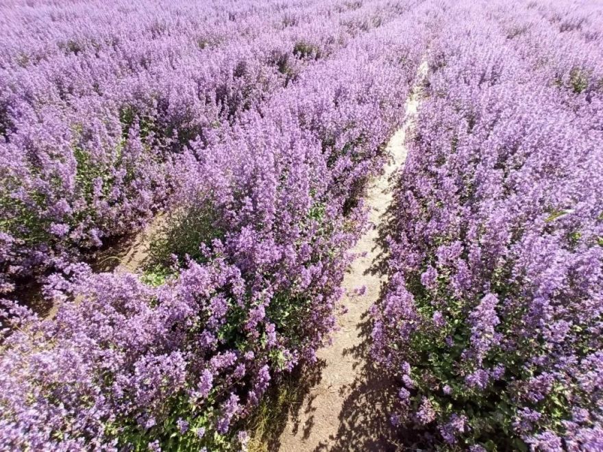完美一夏 | 康定摄影之旅的室内设计灵感-76