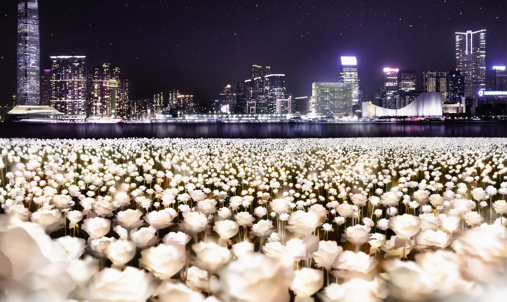 Light Rose Garden HK 玫瑰灯海园 – 香港站-0