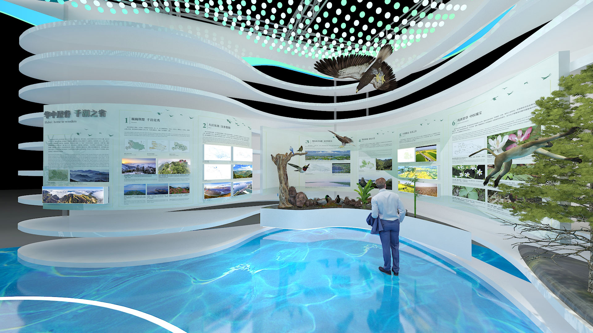 生物多样性-湖北馆-7