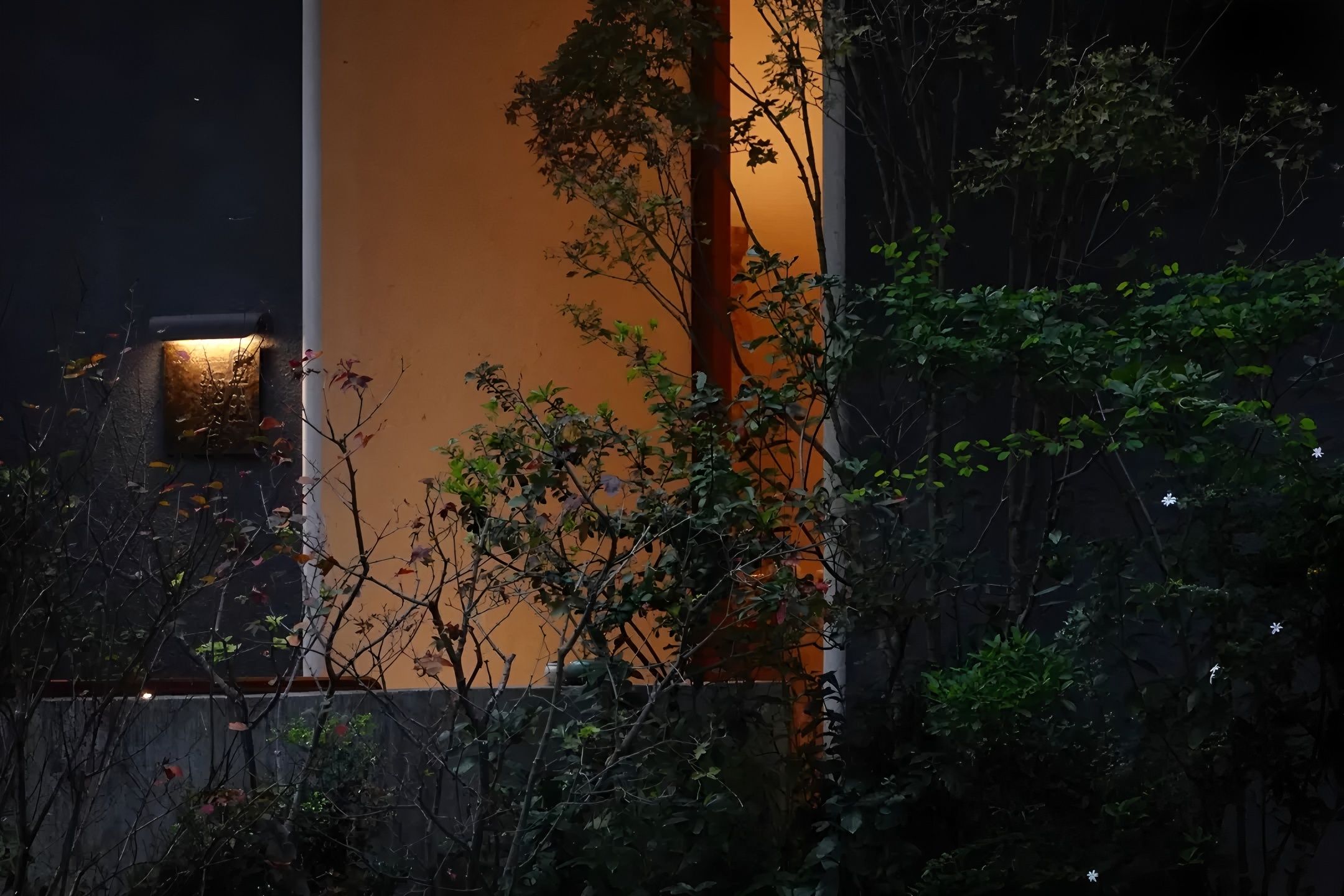 深圳茅台鉴藏馆丨中国深圳丨BLOOMDESIGN绽放设计-27