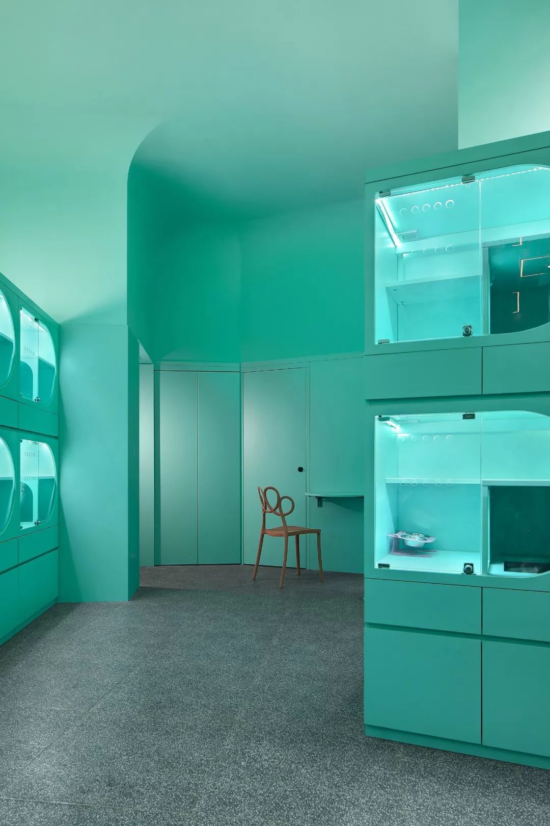 未耒 | 蓝绿矩阵 猫咪丛林-17