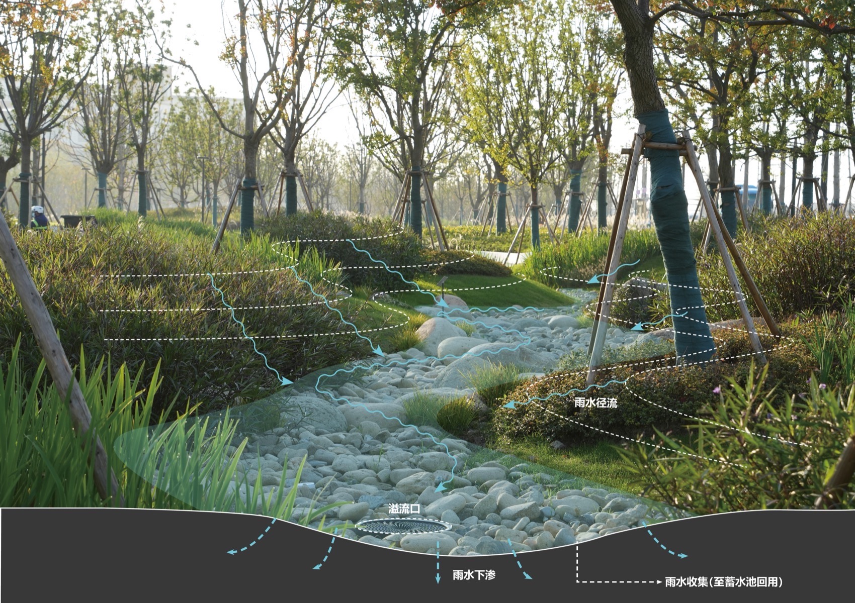 上海金泽镇培雅南路东侧绿地景观设计丨中国上海丨上海联创设计集团股份有限公司景观设计部-104