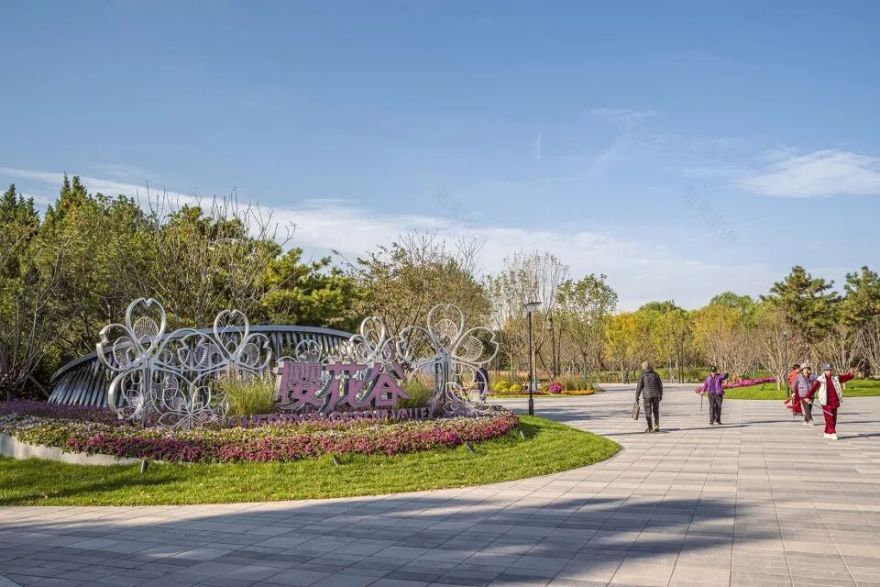 埊木设计|花漾之境:北小河公园樱花谷环境改造提升设计-59