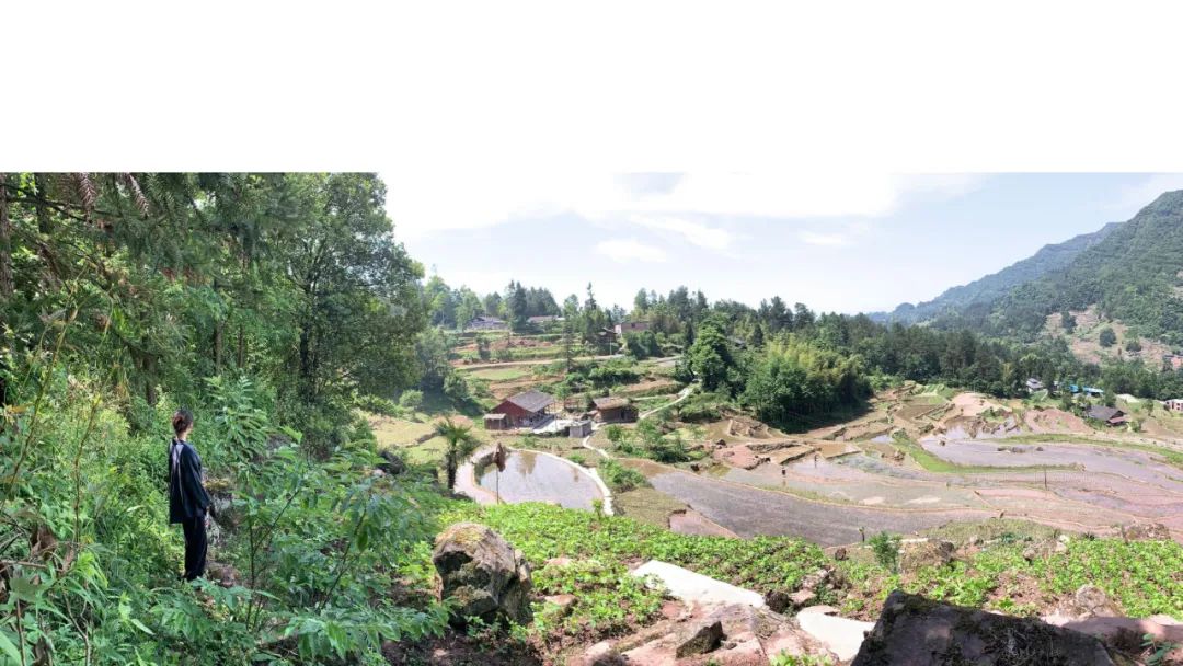 《青榭竹里》 | 即兴创作实践,重拾建筑温度-37