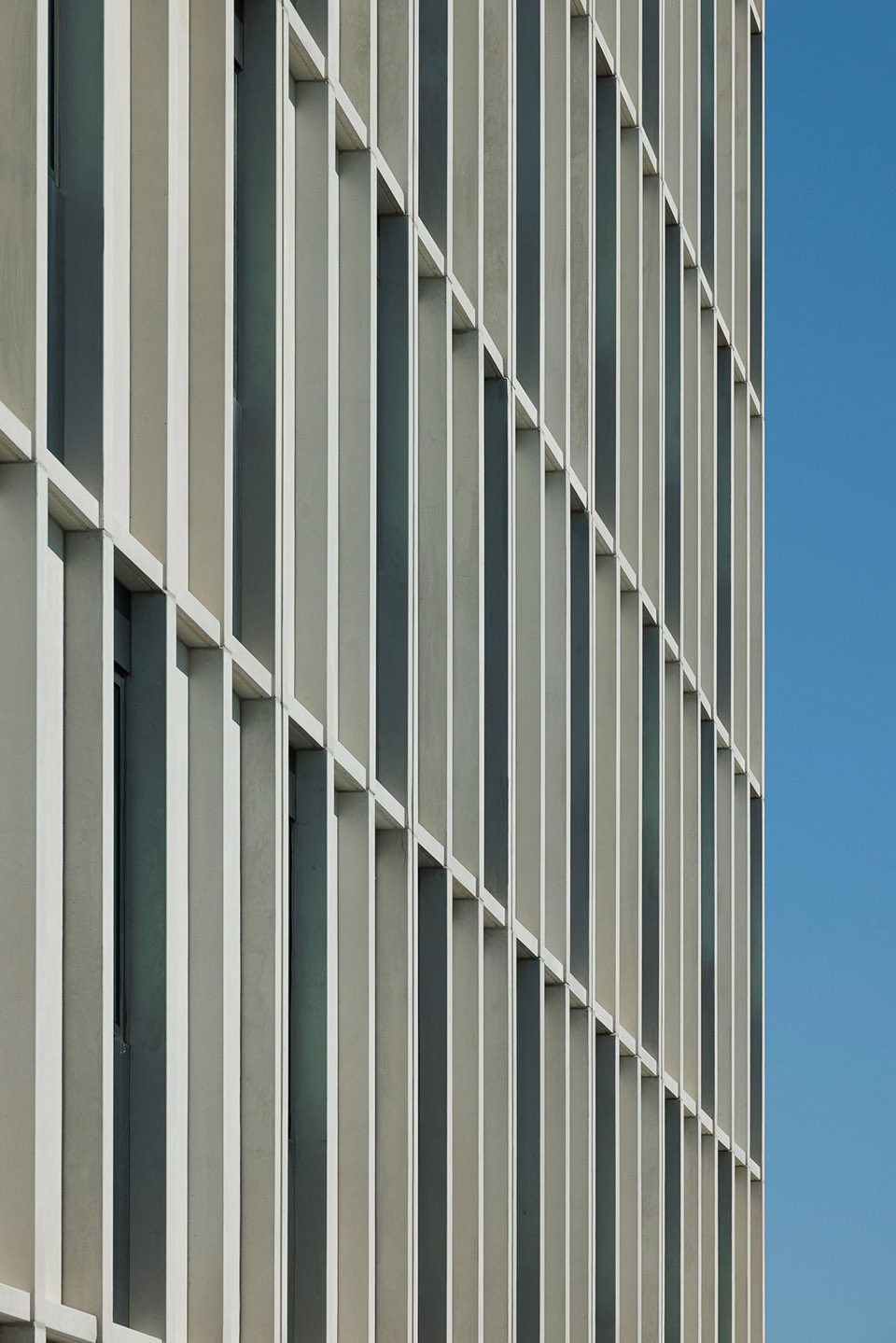 葡萄牙 B&B Famalicão 酒店丨Jorge Domingues Arquitetos-39