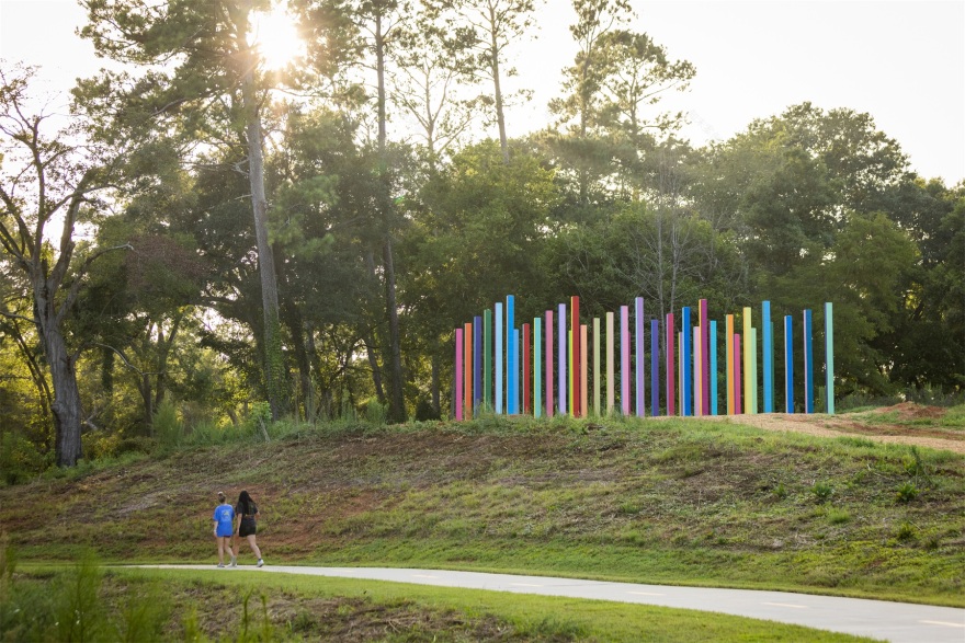 彩虹森林丨美国丨Office Kovacs-68