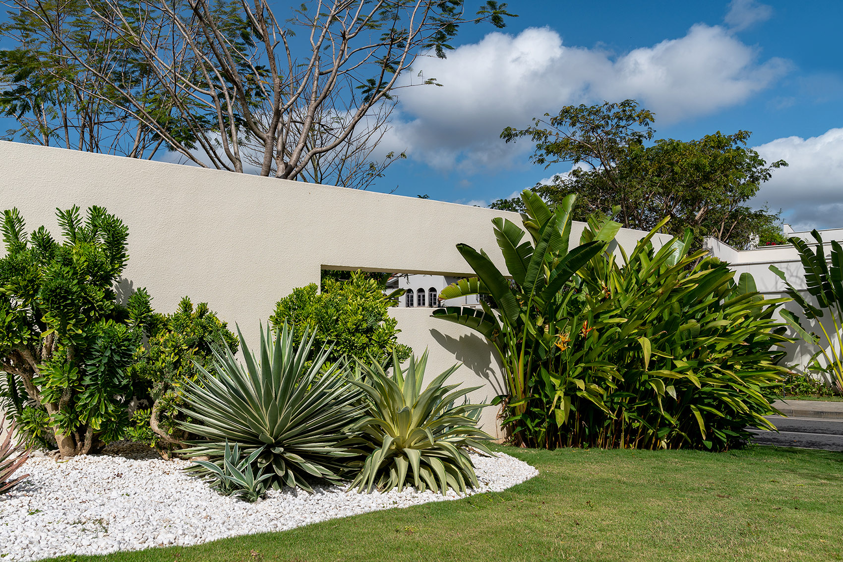 阿那亚三亚南花园丨中国三亚丨Z’scape致舍景观-121