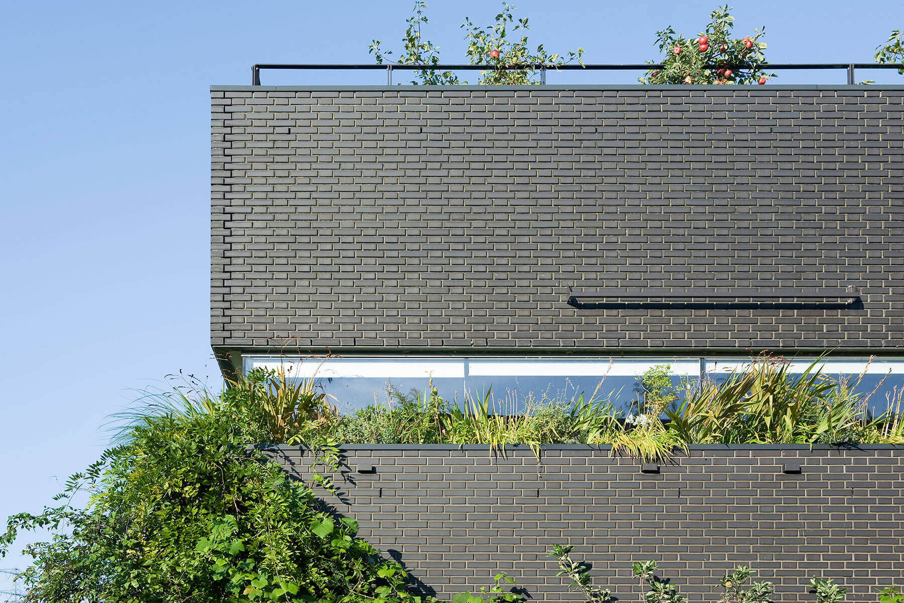 伊日堡住宅（注：IJburg是荷兰阿姆斯特丹的一个区域名，House可理解为住宅、房屋等，这里结合常见表达习惯这样翻译） 丨荷兰丨Marc Koehler Architects-21