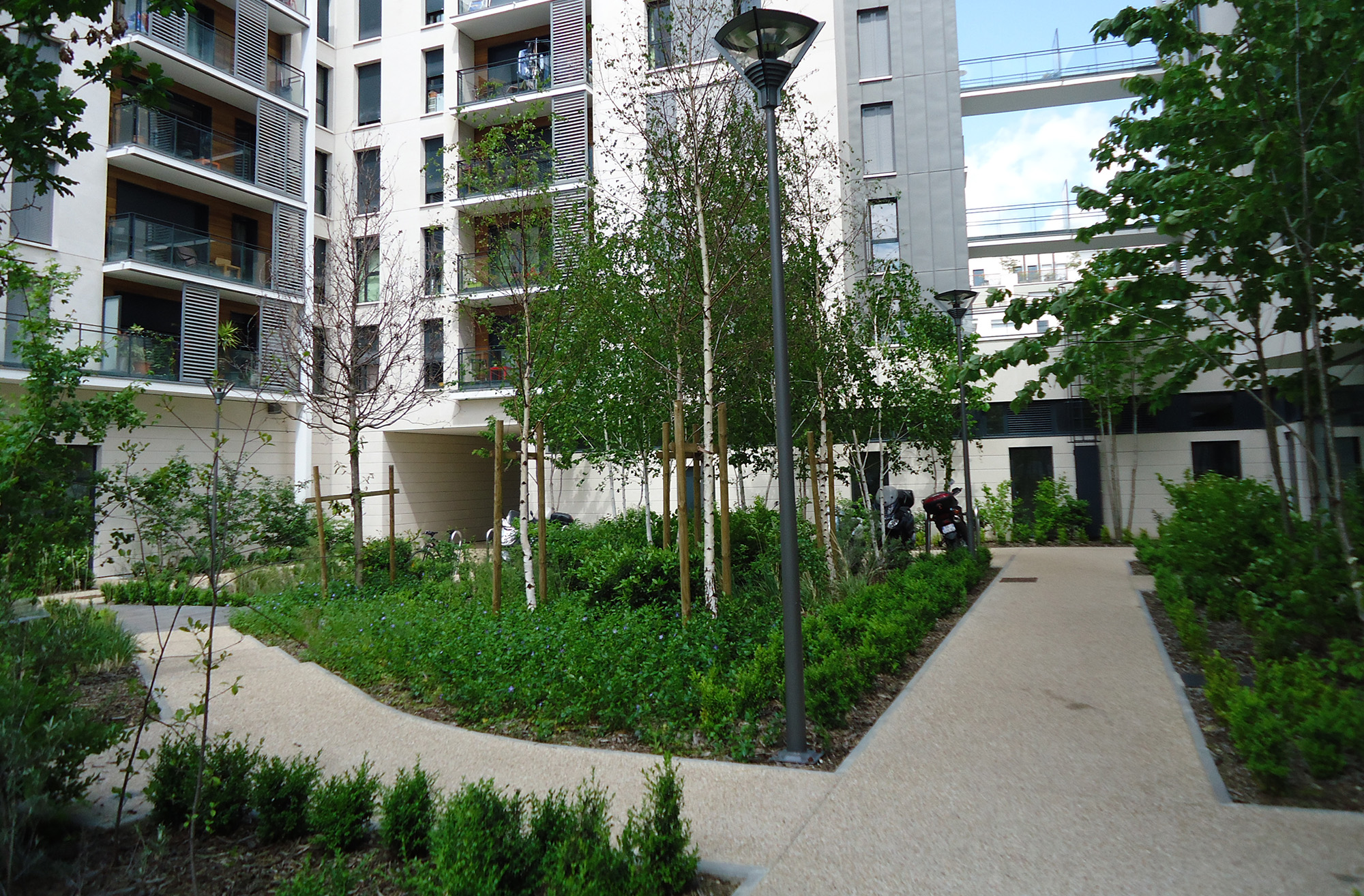 Programme de logements Cogedim - ZAC de la Marine - La Compagnie du Paysage-31