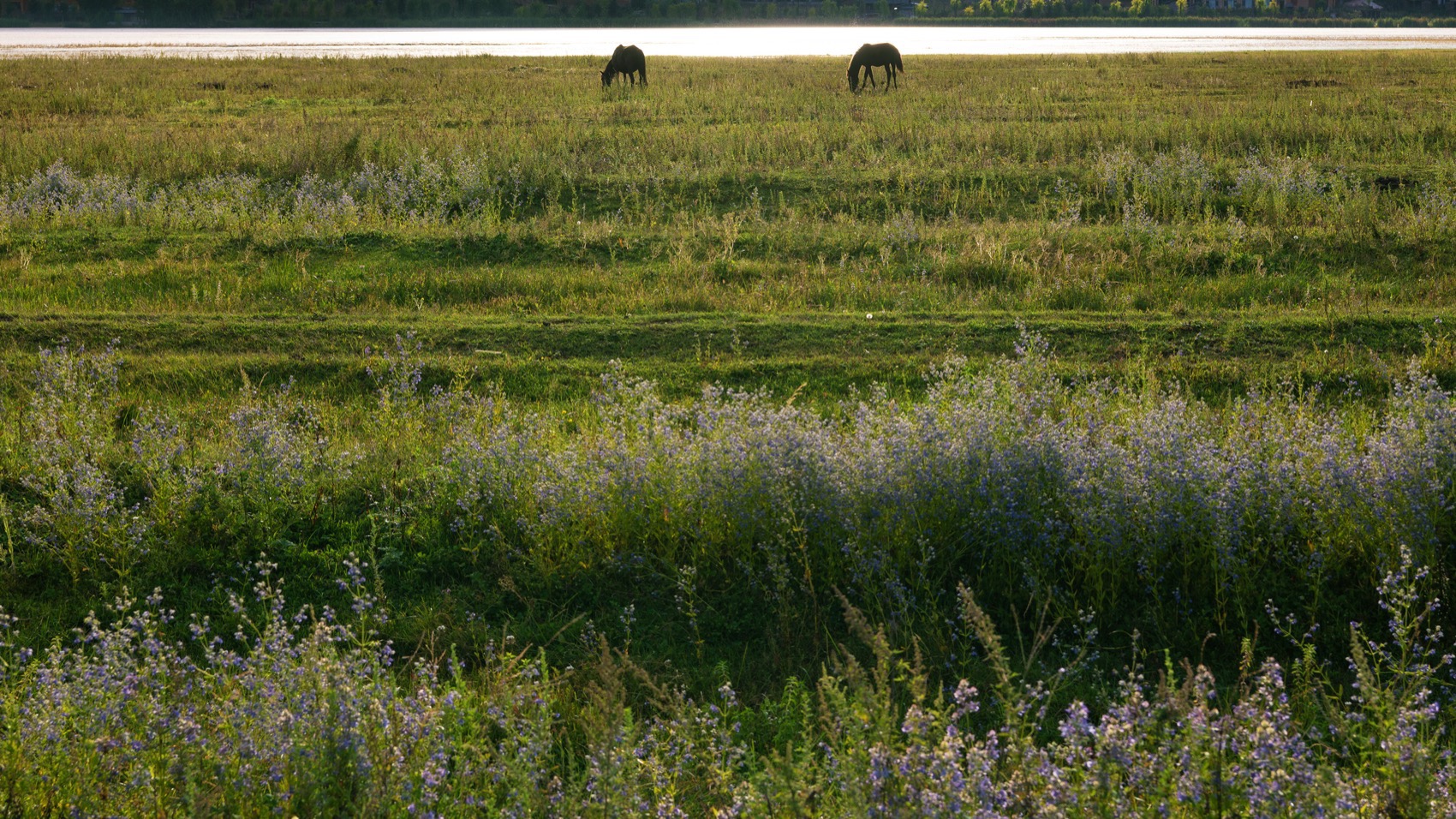 泸沽湖岚岳海子花园丨中国丽江丨Z’scape致舍景观（景观）,尚壹扬设计（建筑及室内）-6