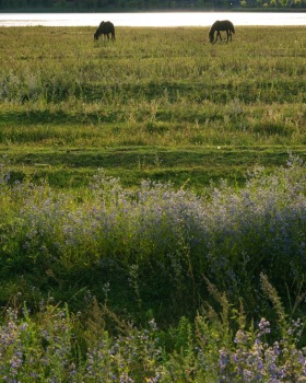 泸沽湖岚岳海子花园,丽江 / Z&scape 致舍景观