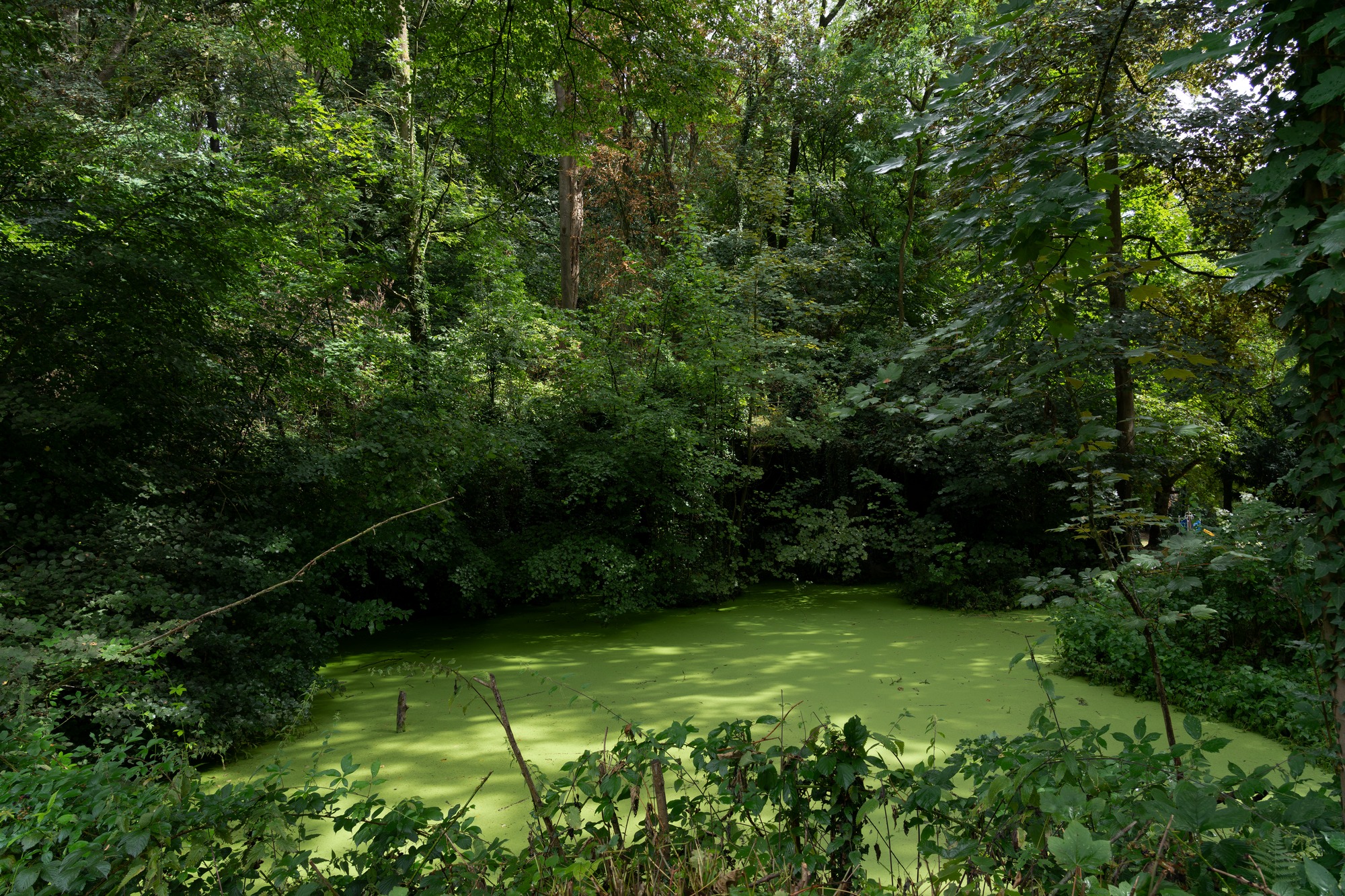 比利时雨水放大装置丨Matthijs la Roi Architects-33