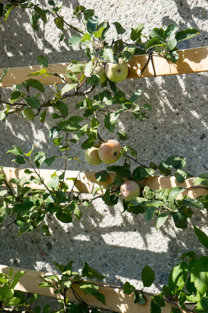 罗根专用泳池丨Raum & Design Strategie-20