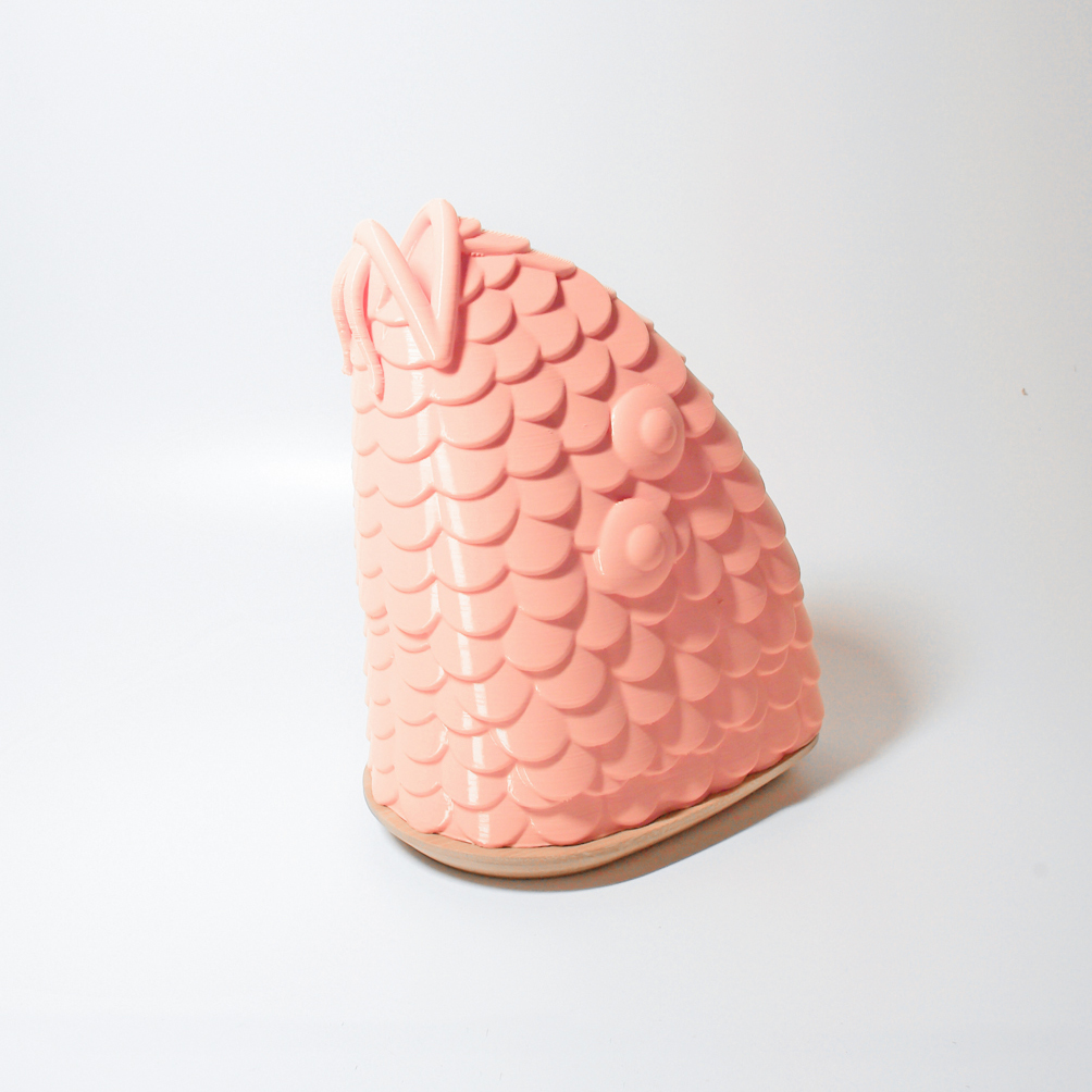 PECES — arquimaña-17