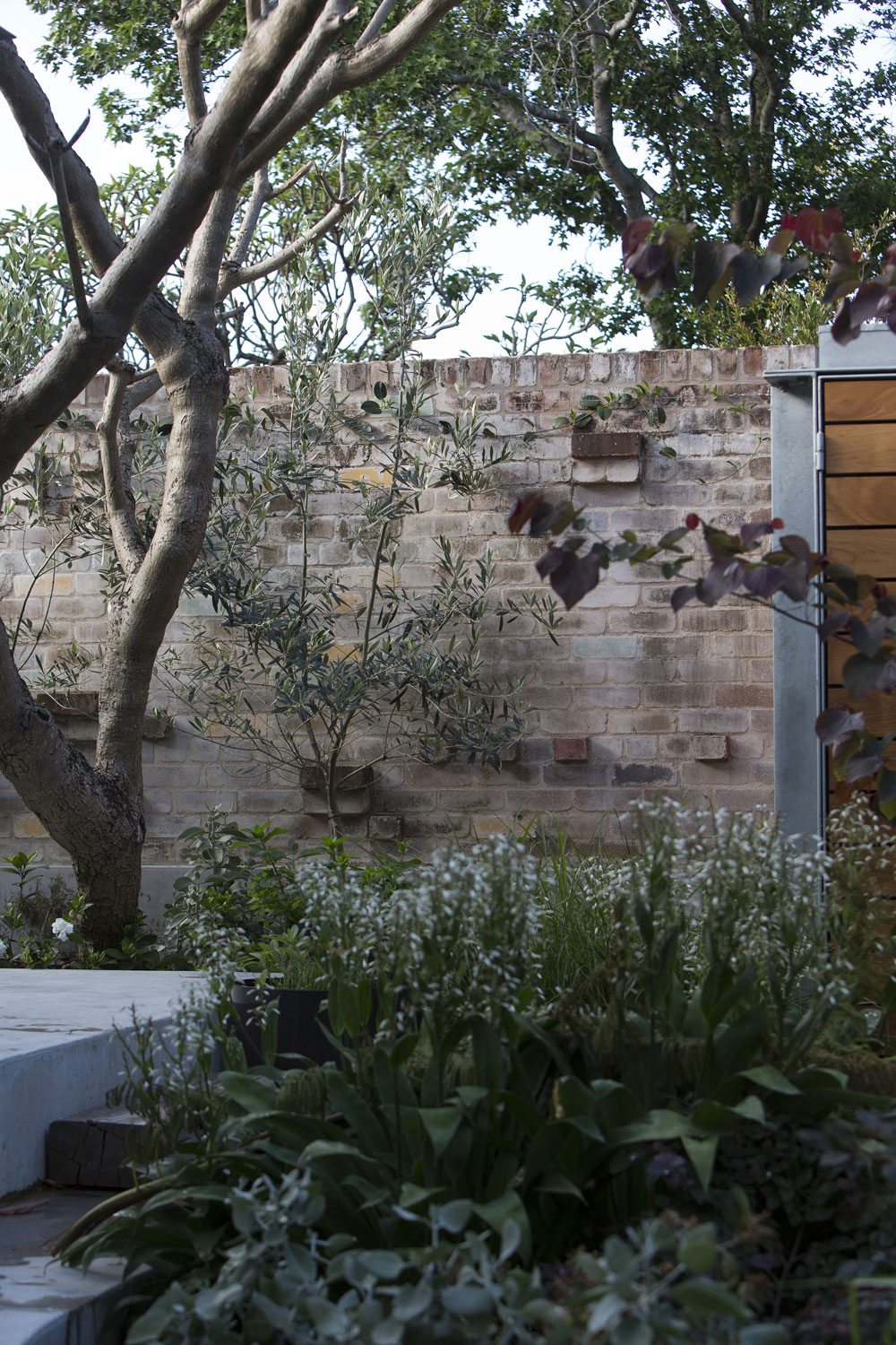 城市住宅旁花园项目丨澳大利亚悉尼丨Welch+Major设计工作室-3