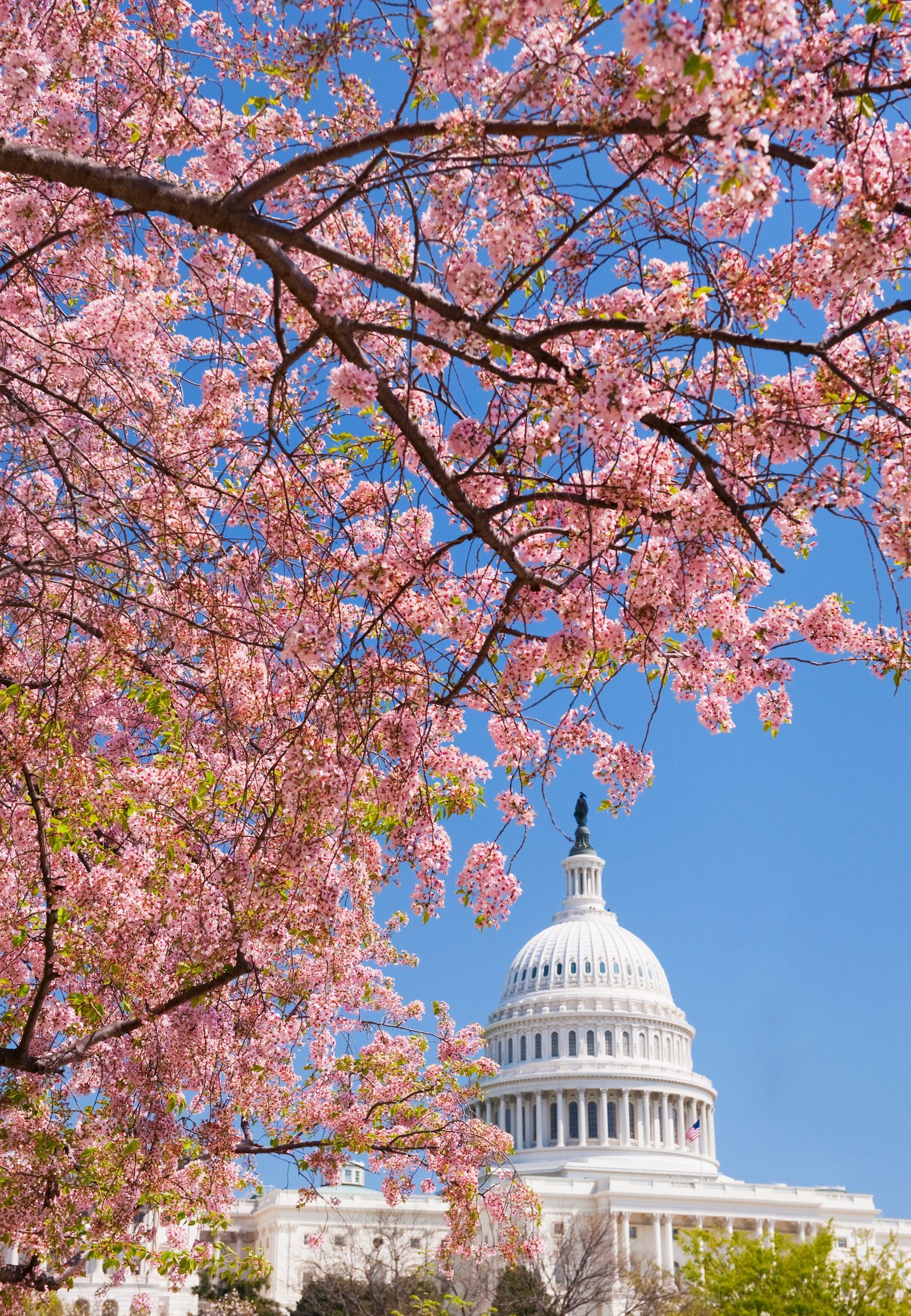 华盛顿特区威拉德洲际酒店丨美国华盛顿丨纽约建筑师亨利·詹韦·哈登伯格,玛吉·奥尼尔-46