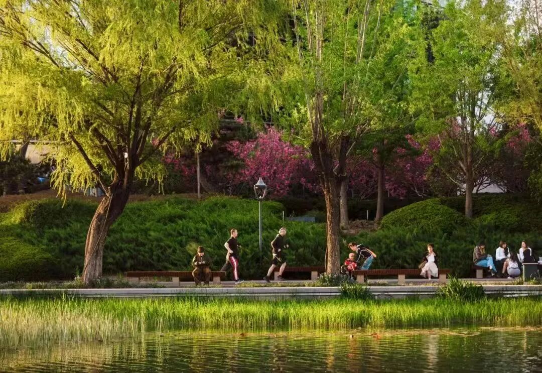 北京亮马河滨水景观廊道｜荣获第五届AHLA亚洲人居景观奖公共景观类金奖-74