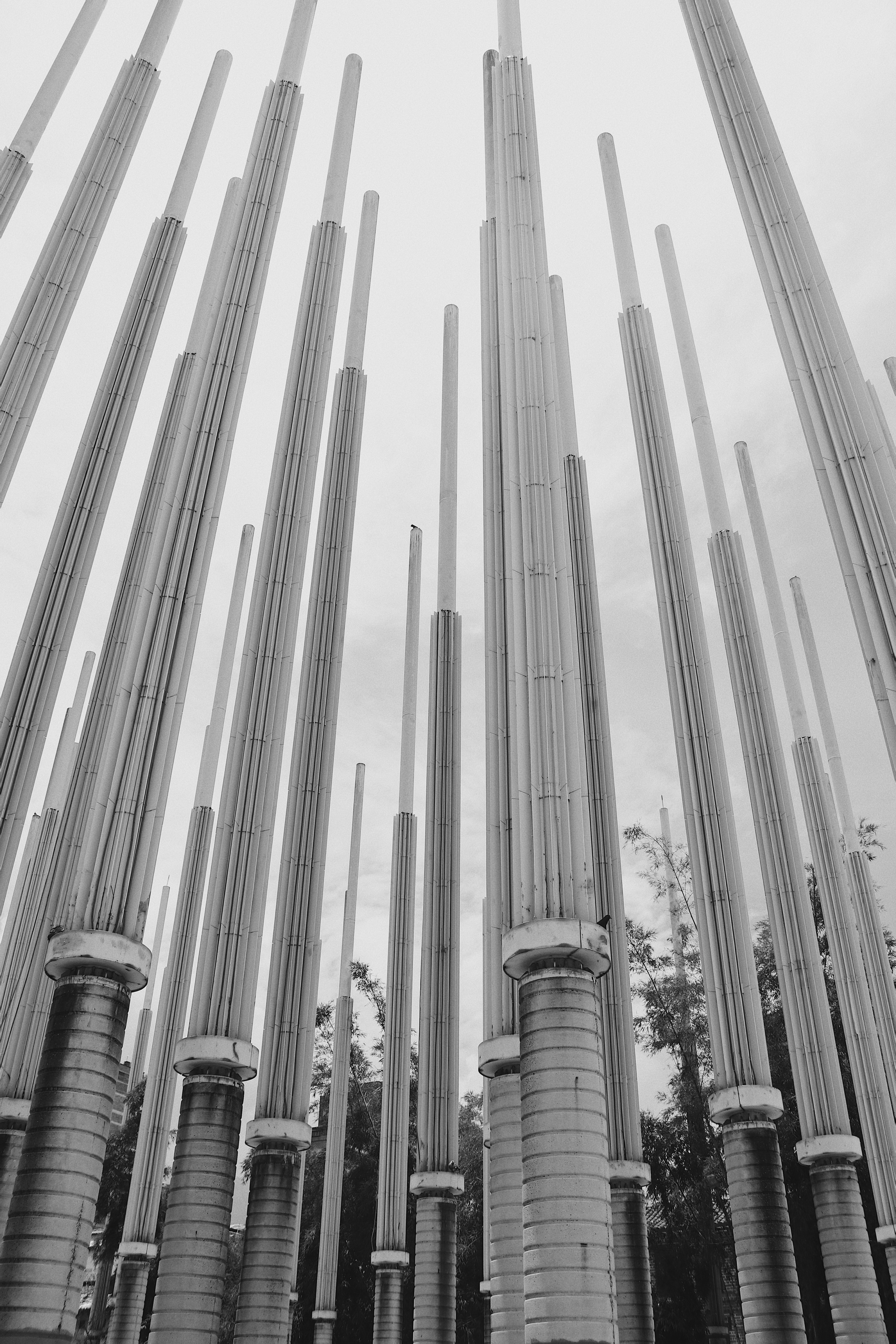 FOTOPERIODISMO EN EL CENTRO DE MEDELLÍN-12