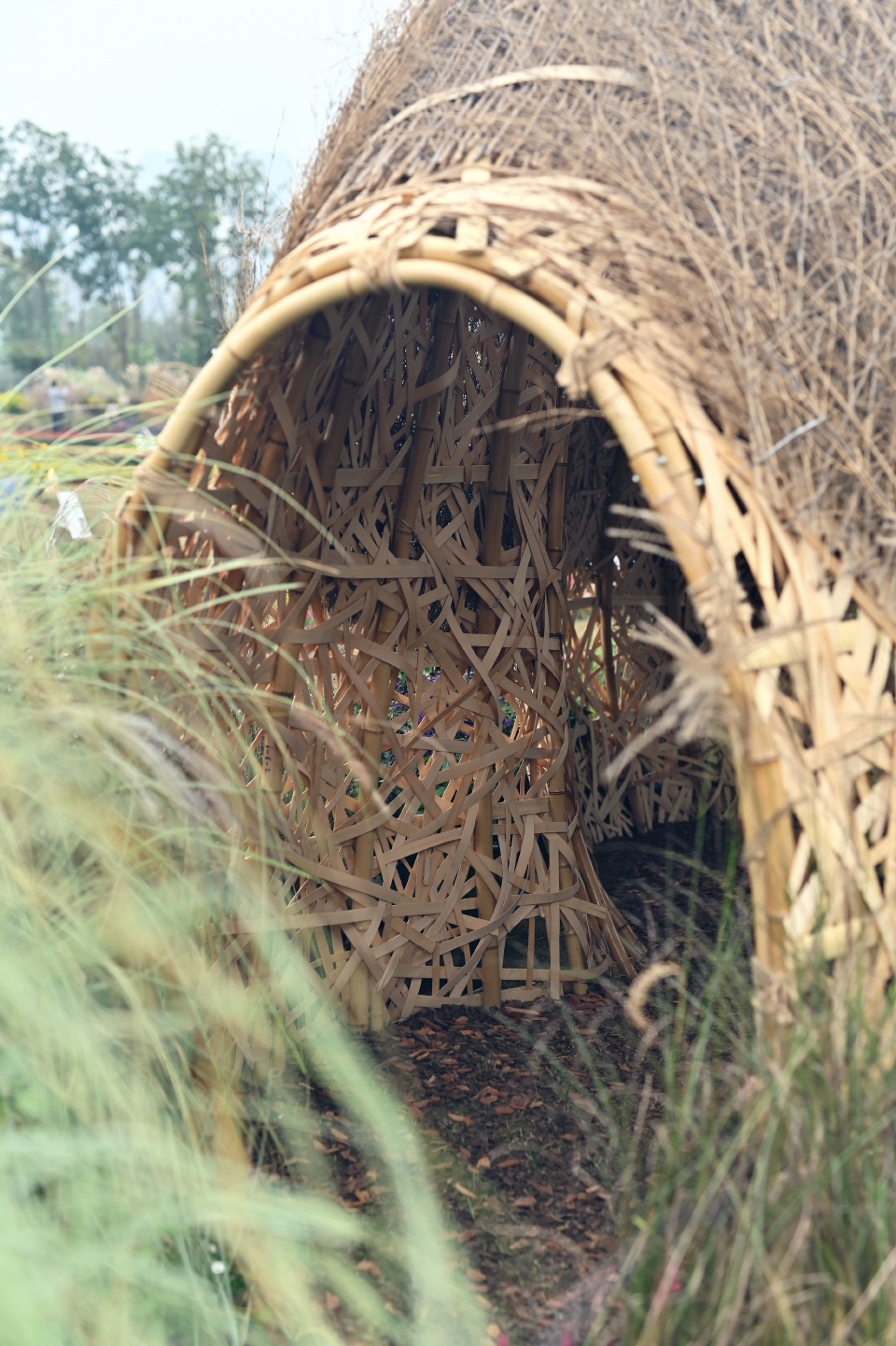 秘境花园 | 树洞中的心灵秘境-44