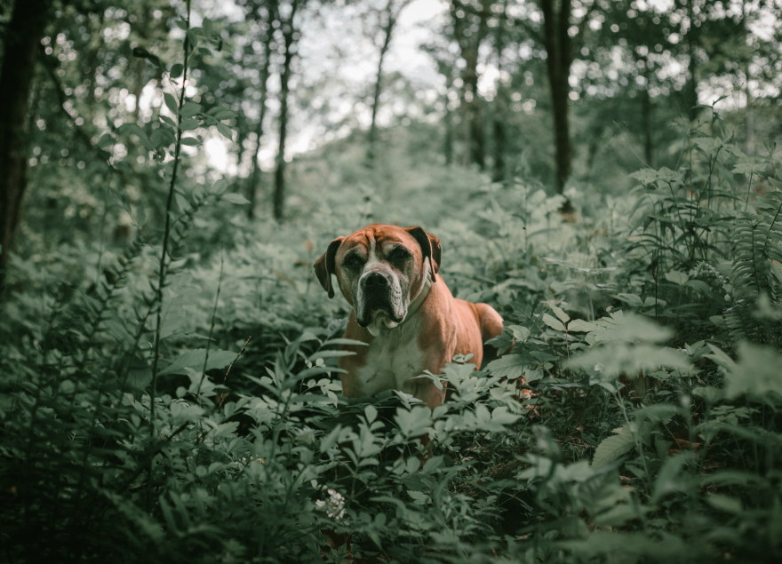 无明确项目名称丨无相关信息-4