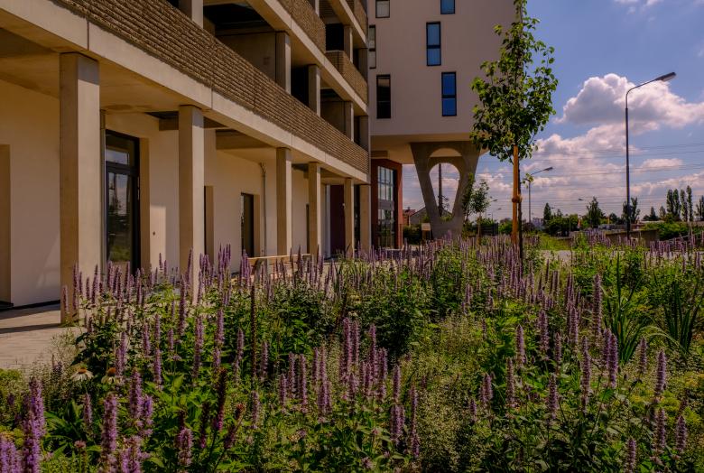 Karin Standler Landschaftsarchitektur丨Wohnpark Csokorgasse丨奥地利-14