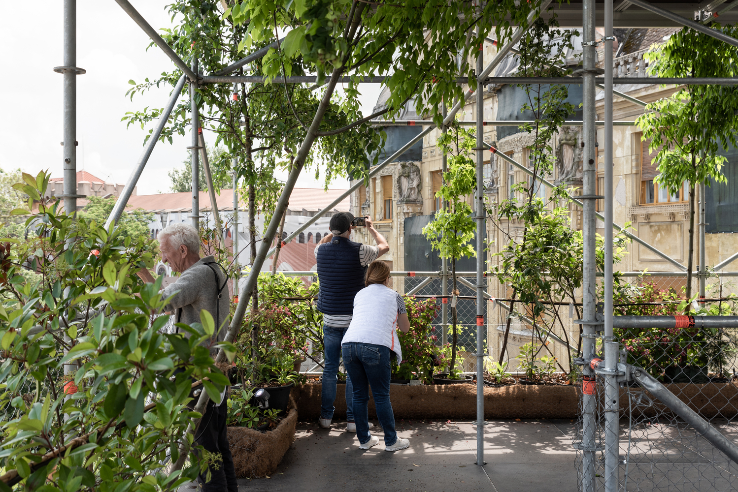 罗马尼亚蒂米什瓦拉垂直绿化奇迹-17