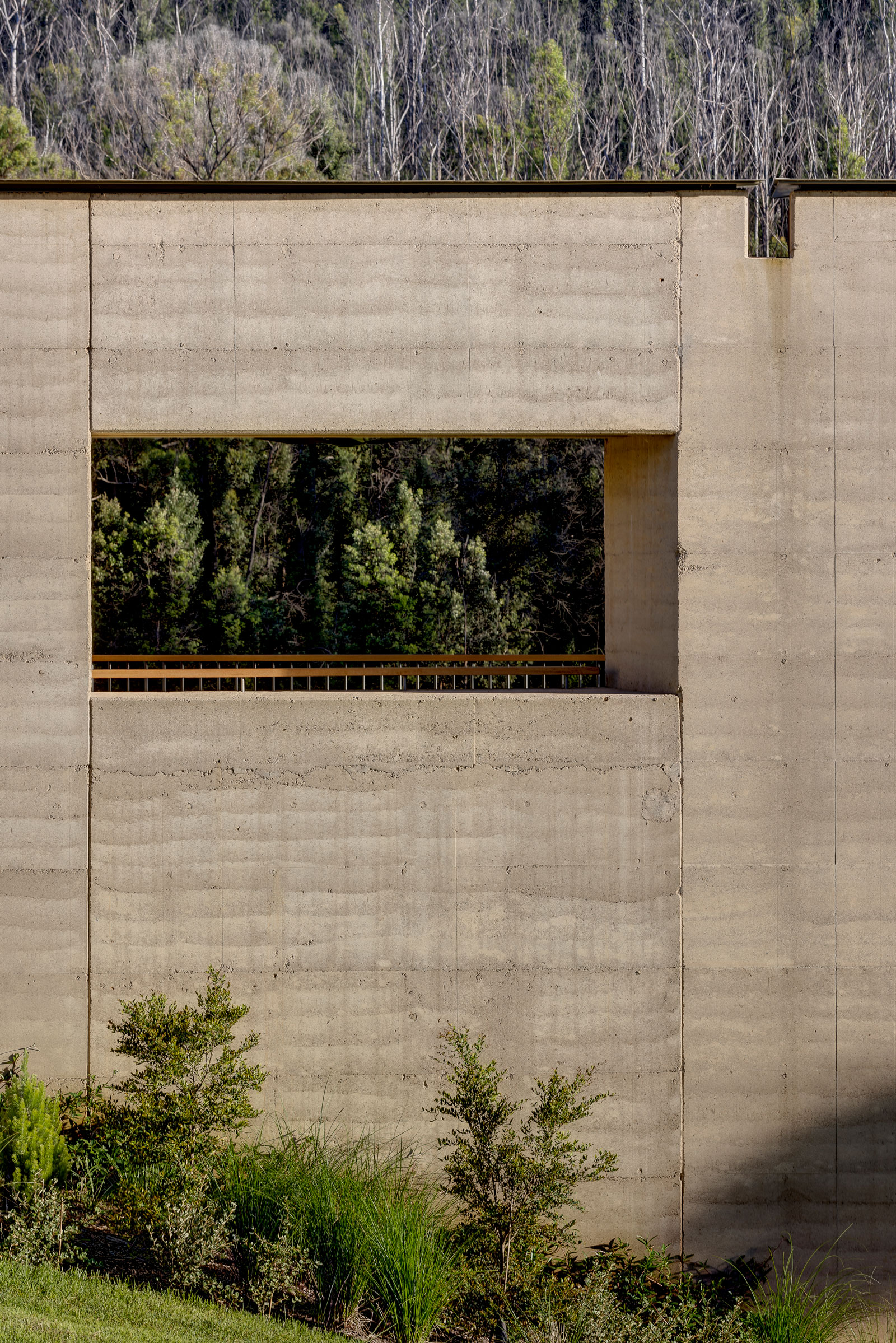 感官提升罗宾逊之家丨澳大利亚丨Bennett Murada Architects-31