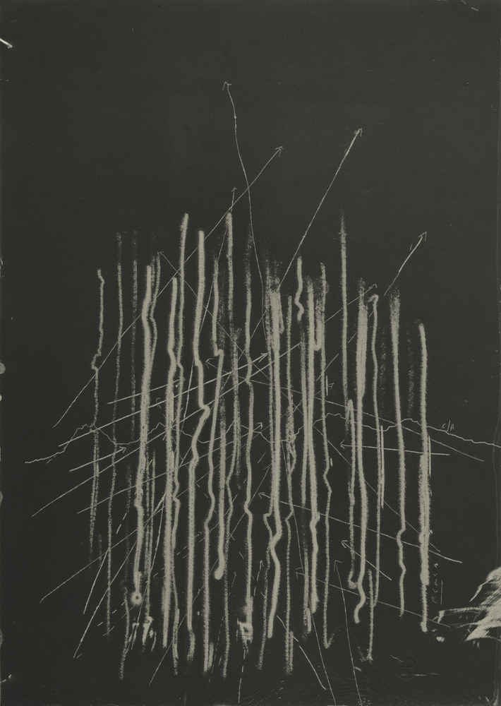 智利垂直景观公园 · 融合自然的艺术雕塑-53