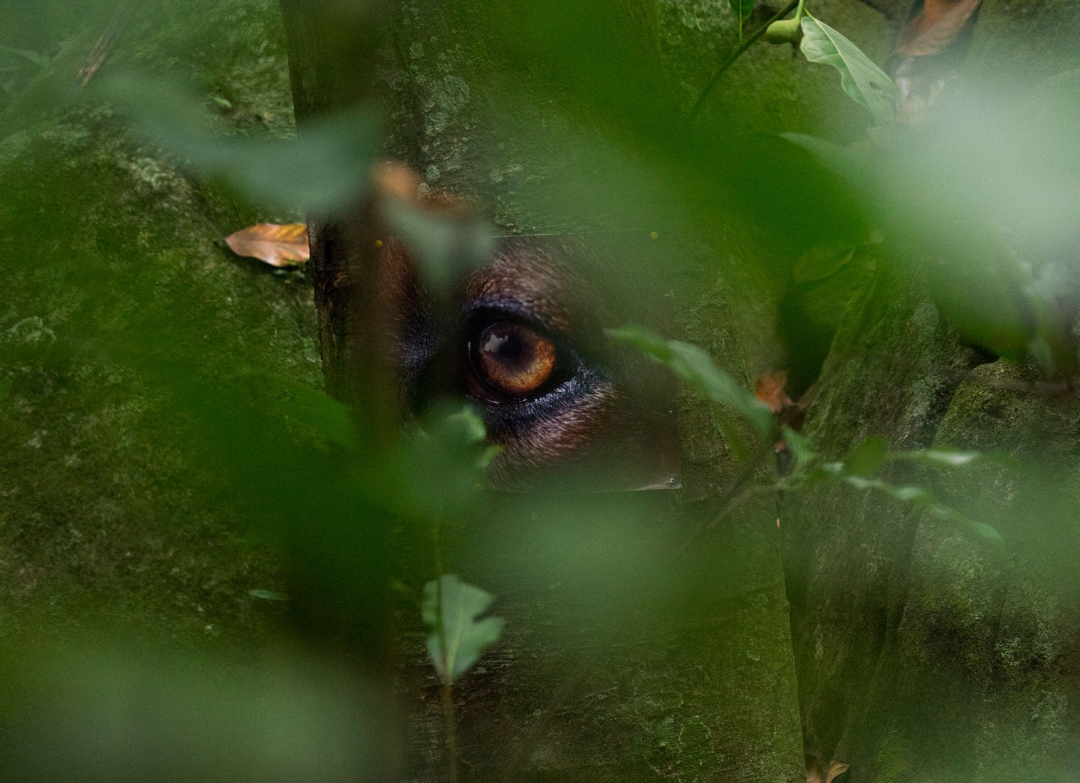 丨芬兰赫尔辛基-35