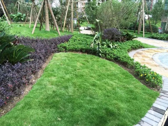 绿化设计中的地被放线手法与植物配置-140