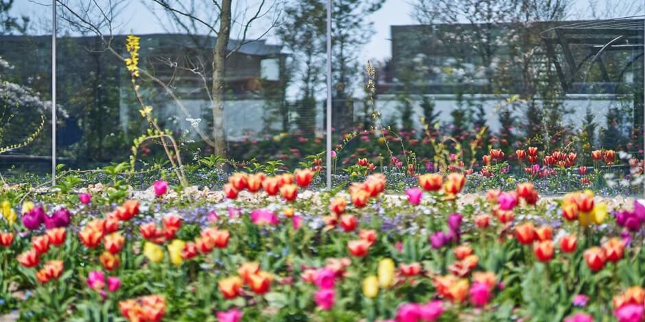 下瀨藝術花園別墅（SIMOSE ART GARDEN VILLA）丨日本丨日本建筑师坂茂（Shigeru Ban）-99