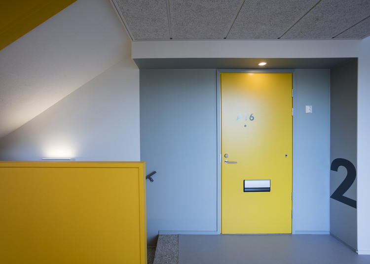 RISUVIITA  OOPEAA-25