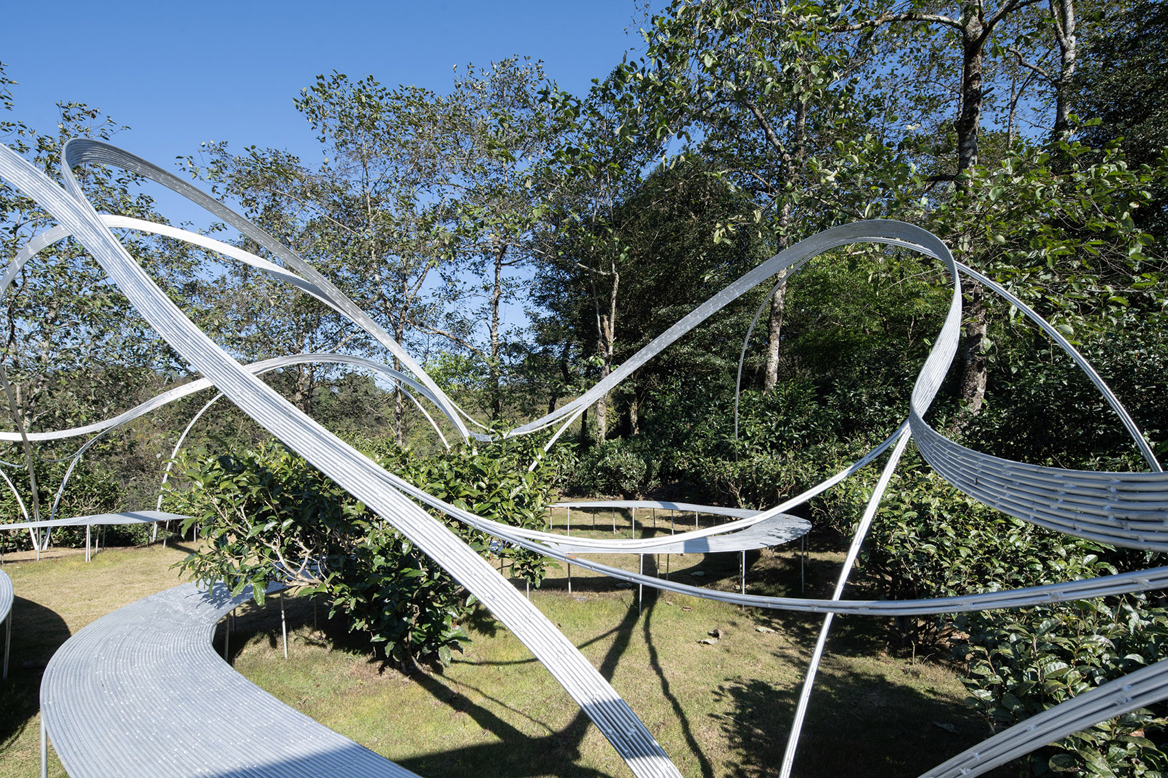 大理无量山一朵茶花高原剧场丨中国大理丨孔祥伟工作室-95