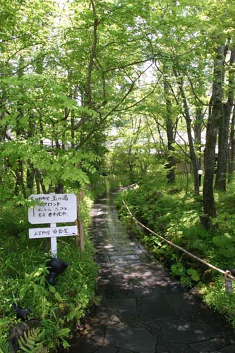 旅館 玉の湯  環・設計工房丨鮎川 透-2