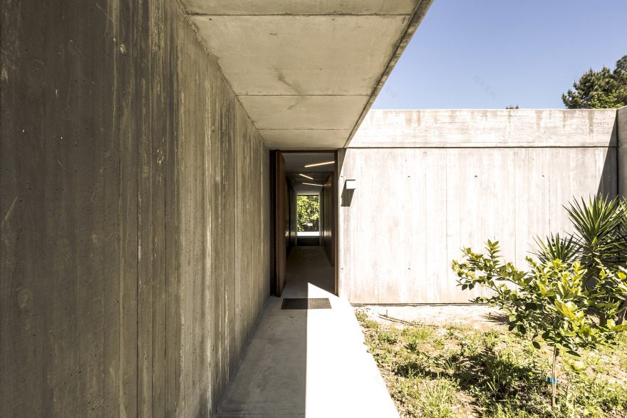 隐于自然的混凝土住宅,葡萄牙/ waataa-16