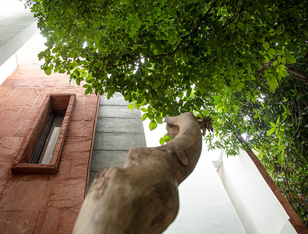 House With 49 Trees RENESA-12