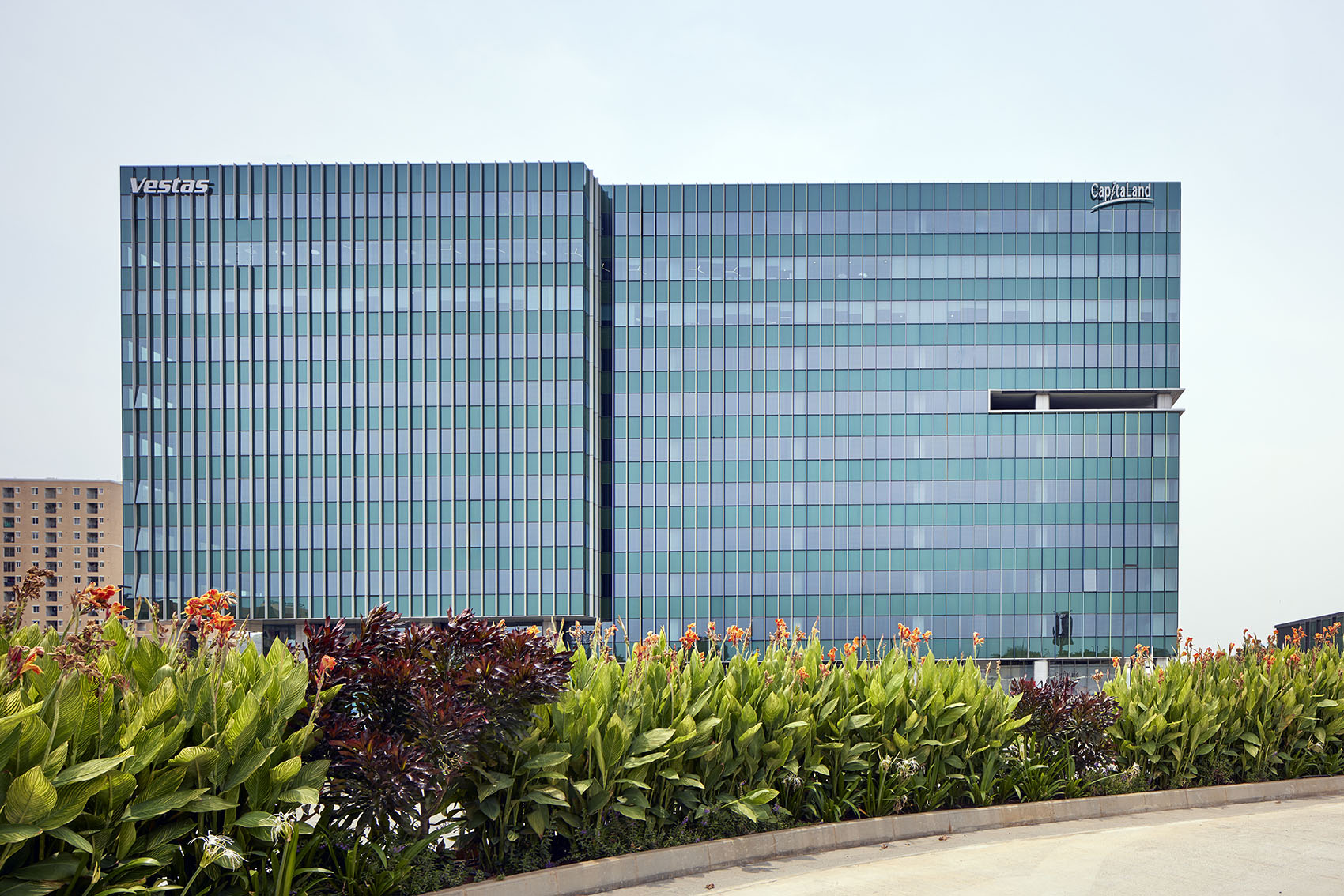 金奈科技园，印度 / Morphogenesis-3