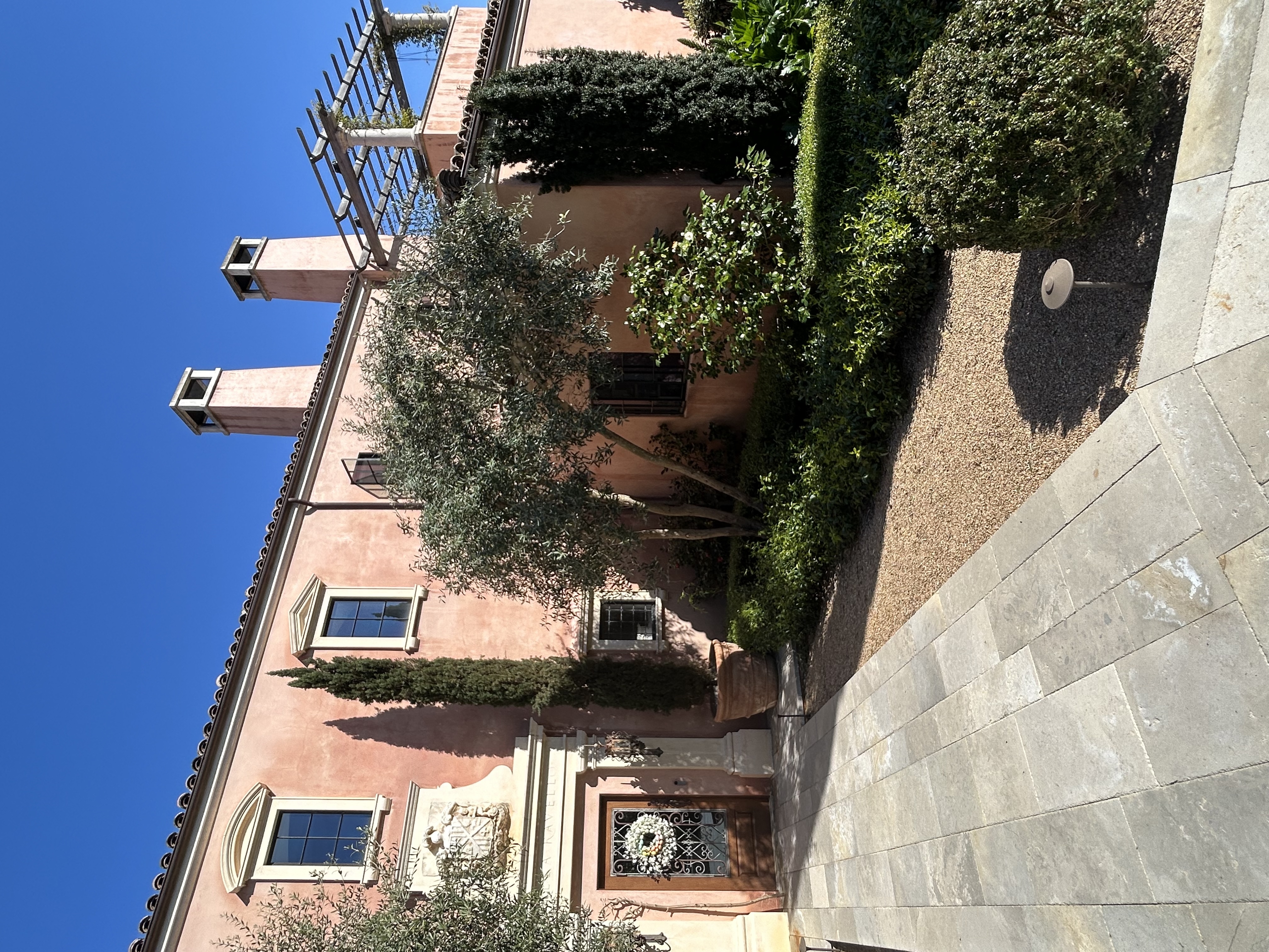 橄榄树修剪以改善厨房采光及树干线条-4