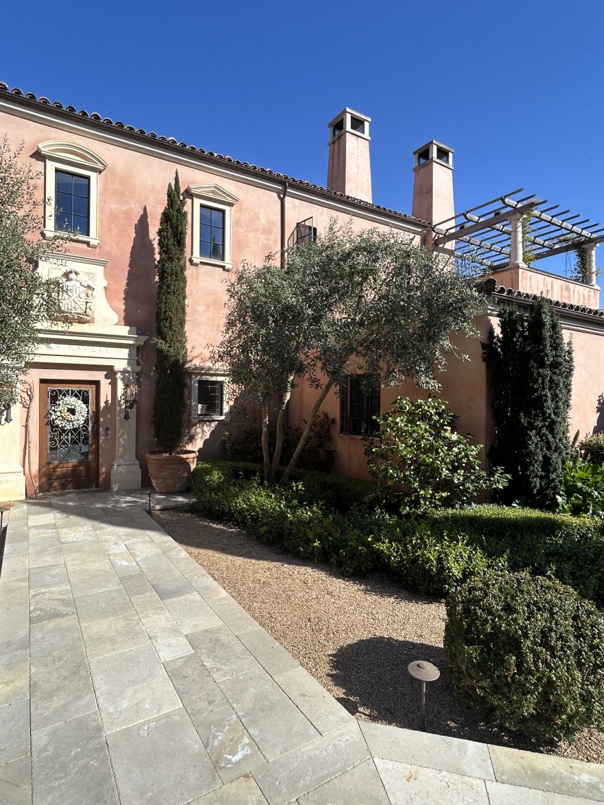 橄榄树修剪以改善厨房采光及树干线条-4